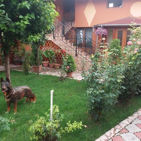 Olimpia Apartments Alba Iulia Dış mekan fotoğraf