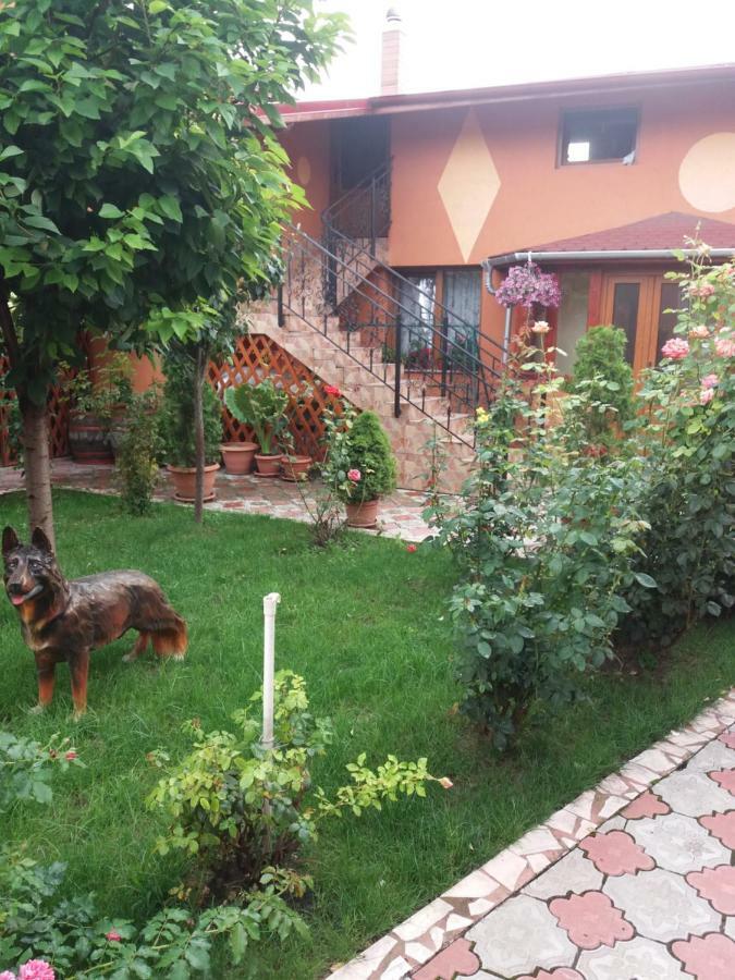 Olimpia Apartments Alba Iulia Dış mekan fotoğraf
